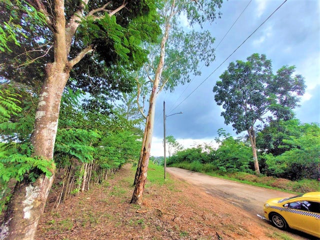 Commercial Property for Sale in Tocumen Panamá Province 07215